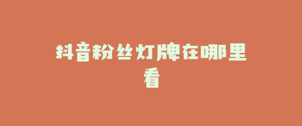 抖音粉丝灯牌在哪里看