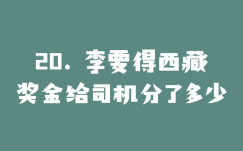 20. 李要得西藏奖金给司机分了多少