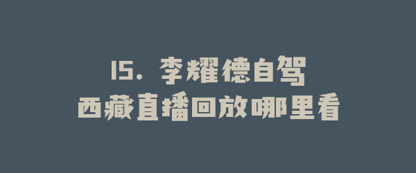 15. 李耀德自驾西藏直播回放哪里看