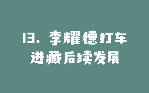 13. 李耀德打车进藏后续发展