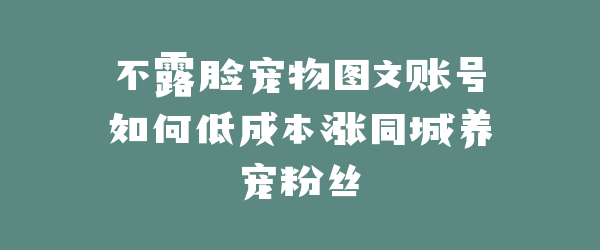 不露脸宠物图文账号如何低成本涨同城养宠粉丝