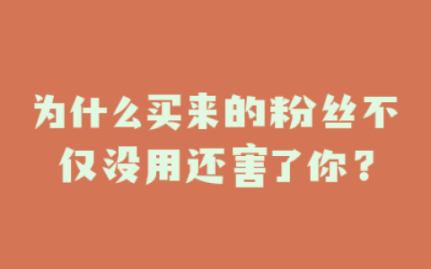 为什么买来的粉丝不仅没用还害了你？