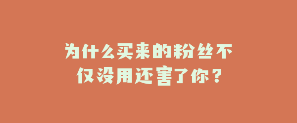 为什么买来的粉丝不仅没用还害了你？
