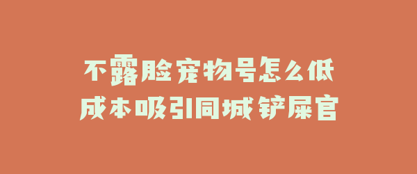 不露脸宠物号怎么低成本吸引同城铲屎官