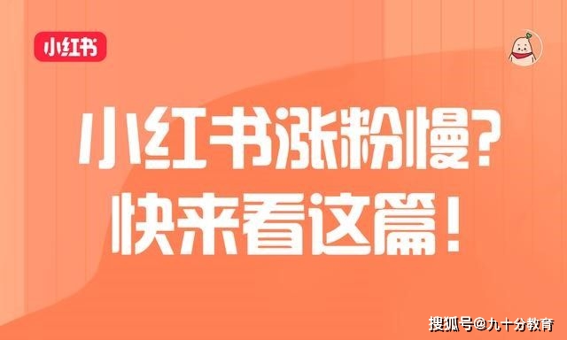 小红书涨粉方法_小红书刷粉平台_打造小红书人设