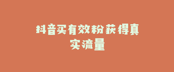 抖音买有效粉获得真实流量