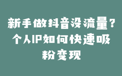 新手做抖音没流量？个人IP如何快速吸粉变现
