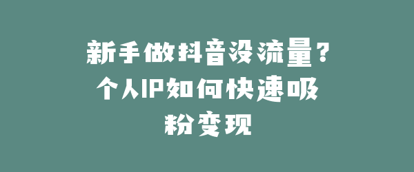 新手做抖音没流量？个人IP如何快速吸粉变现