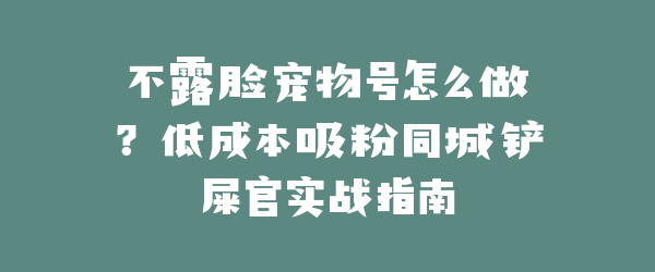 不露脸宠物号怎么做？低成本吸粉同城铲屎官实战指南