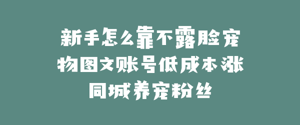 新手怎么靠不露脸宠物图文账号低成本涨同城养宠粉丝