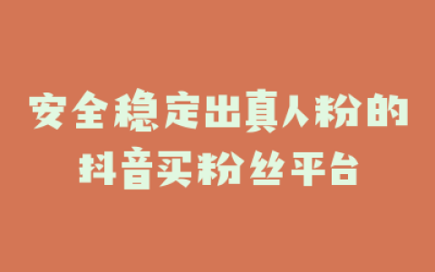 安全稳定出真人粉的抖音买粉丝平台