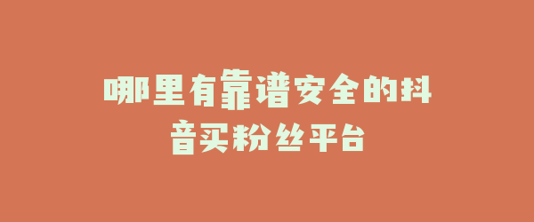 哪里有靠谱安全的抖音买粉丝平台