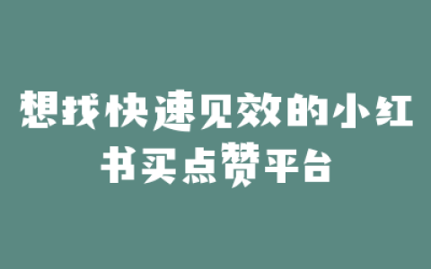 想找快速见效的小红书买点赞平台