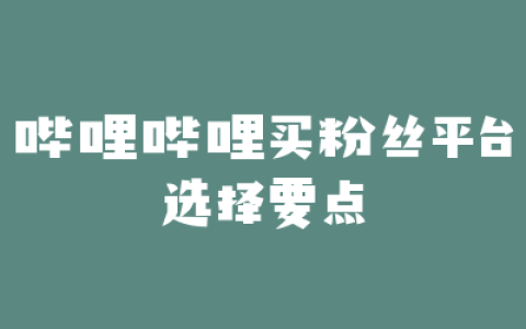 哔哩哔哩买粉丝平台选择要点