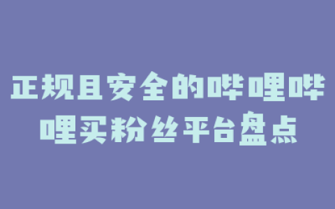 正规且安全的哔哩哔哩买粉丝平台盘点
