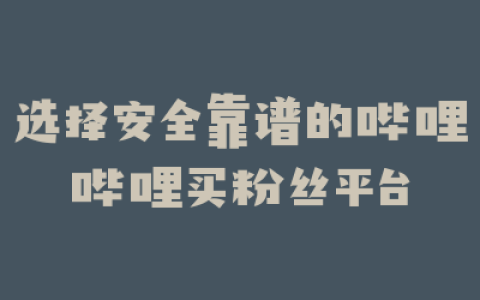 选择安全靠谱的哔哩哔哩买粉丝平台