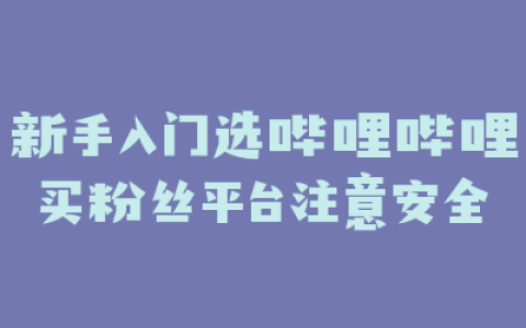 新手入门选哔哩哔哩买粉丝平台注意安全