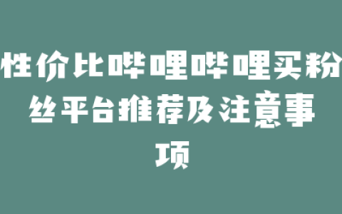 性价比哔哩哔哩买粉丝平台推荐及注意事项