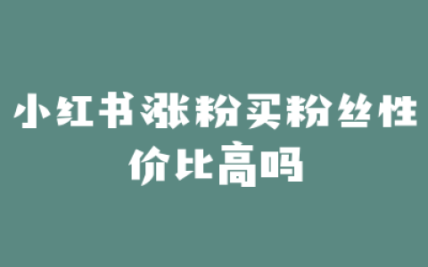 小红书涨粉买粉丝性价比高吗