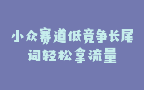 小众赛道低竞争长尾词轻松拿流量