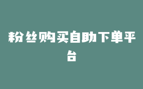 粉丝购买自助下单平台