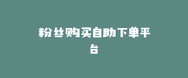 粉丝购买自助下单平台