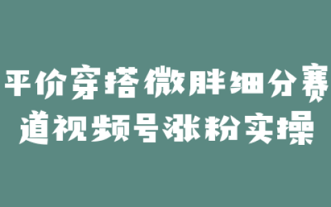 平价穿搭微胖细分赛道视频号涨粉实操