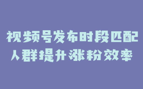 视频号发布时段匹配人群提升涨粉效率