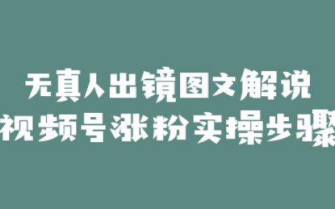 无真人出镜图文解说视频号涨粉实操步骤
