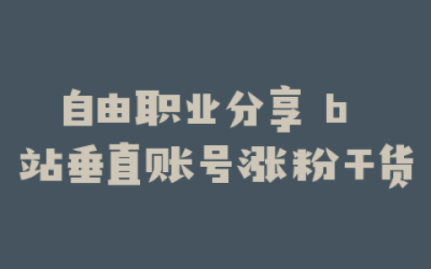 自由职业分享 b 站垂直账号涨粉干货