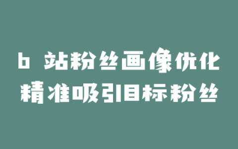 b 站粉丝画像优化精准吸引目标粉丝