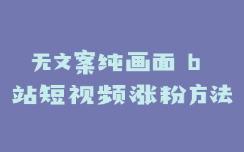 无文案纯画面 b 站短视频涨粉方法