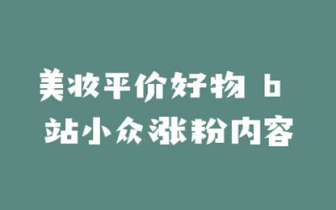 美妆平价好物 b 站小众涨粉内容
