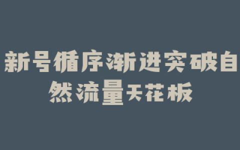 新号循序渐进突破自然流量天花板
