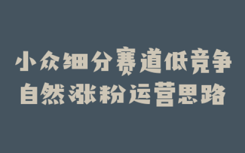 小众细分赛道低竞争自然涨粉运营思路