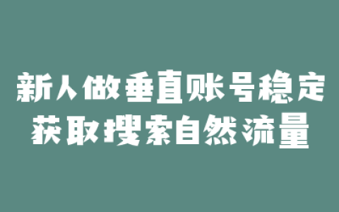 新人做垂直账号稳定获取搜索自然流量