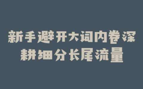 新手避开大词内卷深耕细分长尾流量