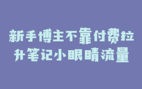 新手博主不靠付费拉升笔记小眼睛流量