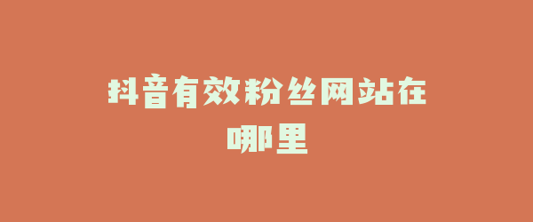 抖音有效粉丝网站在哪里