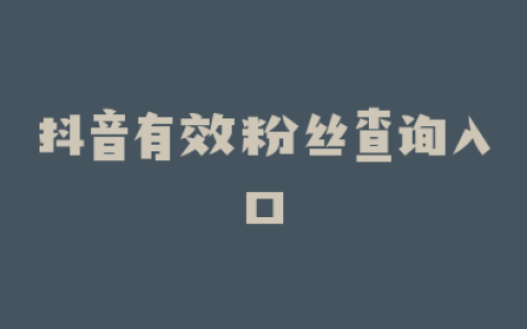 抖音有效粉丝查询入口