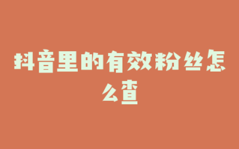 抖音里的有效粉丝怎么查