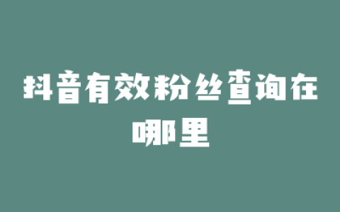 抖音有效粉丝查询在哪里