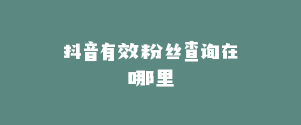 抖音有效粉丝查询在哪里