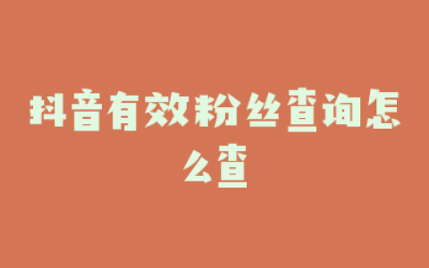 抖音有效粉丝查询怎么查