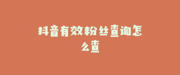 抖音有效粉丝查询怎么查