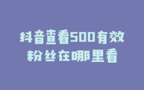 抖音查看500有效粉丝在哪里看
