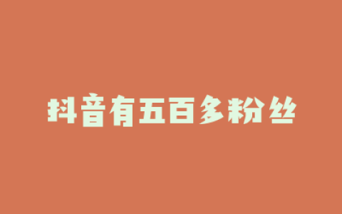 抖音有五百多粉丝