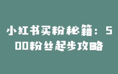 小红书买粉秘籍：500粉丝起步攻略