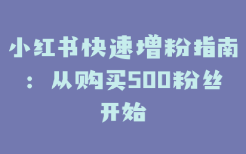 小红书快速增粉指南：从购买500粉丝开始