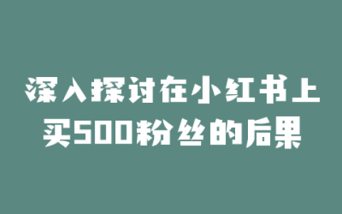 深入探讨在小红书上买500粉丝的后果